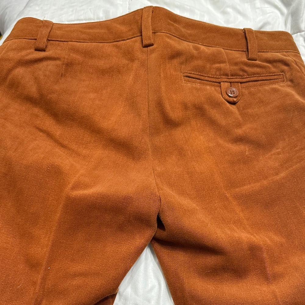 Women’s Jan Basic Rust Pants Size 2 - image 4